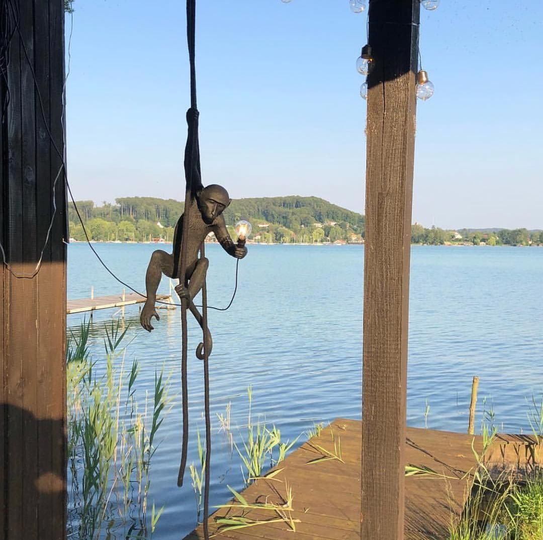 创意家具 - 灯饰|吊灯|办公家具|设计师家具|猴子灯