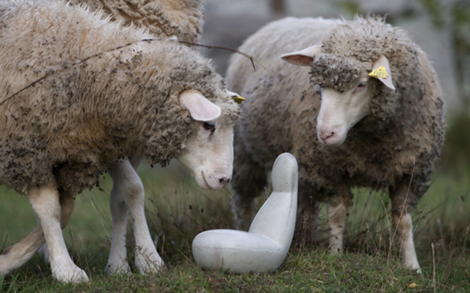 创意家具 - 坐具|沙发|办公家具|设计师家具|Oppo  沙发椅