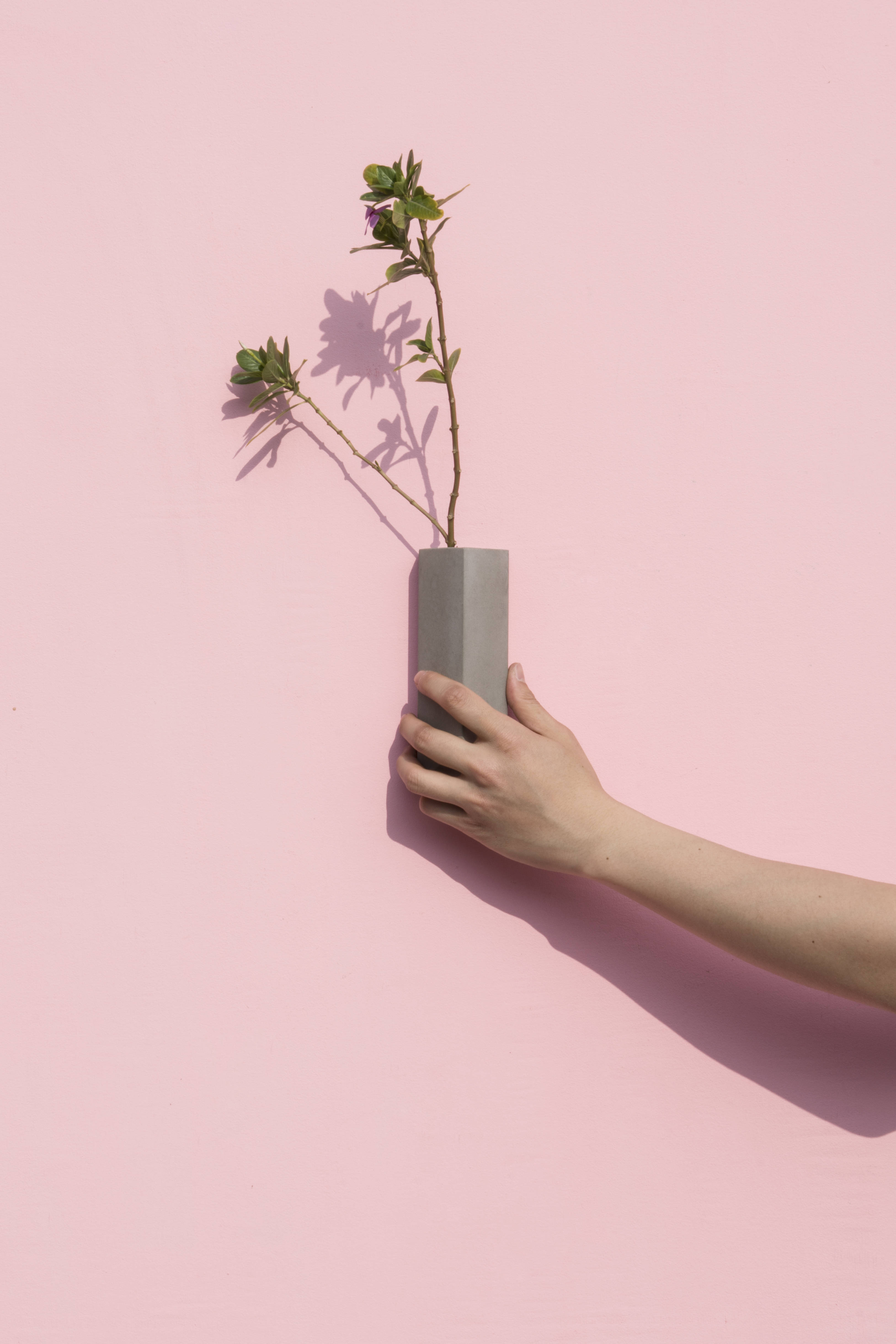 创意家具 - 附件|装饰画/墙饰|办公家具|设计师家具|墙面装饰花插-息