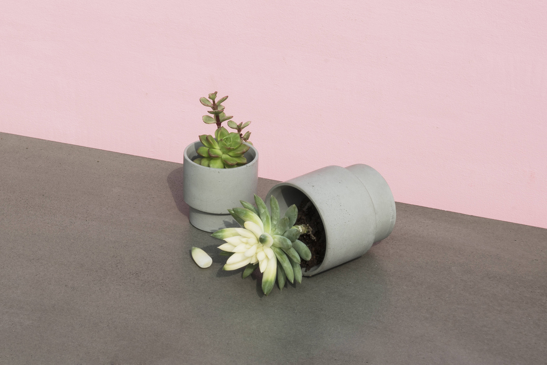 创意家具 - 附件|花器|办公家具|设计师家具|花钵/蜡烛台-息