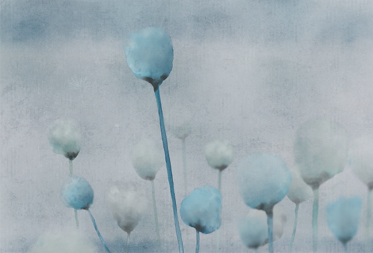 [创意家具 - 附件|装饰画/墙饰|办公家具|设计师家具|罂粟-原创定制壁画]