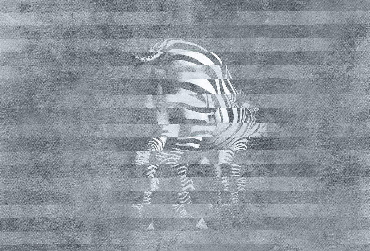 创意家具 - 附件|装饰画/墙饰|办公家具|设计师家具|斑马-原创定制壁画