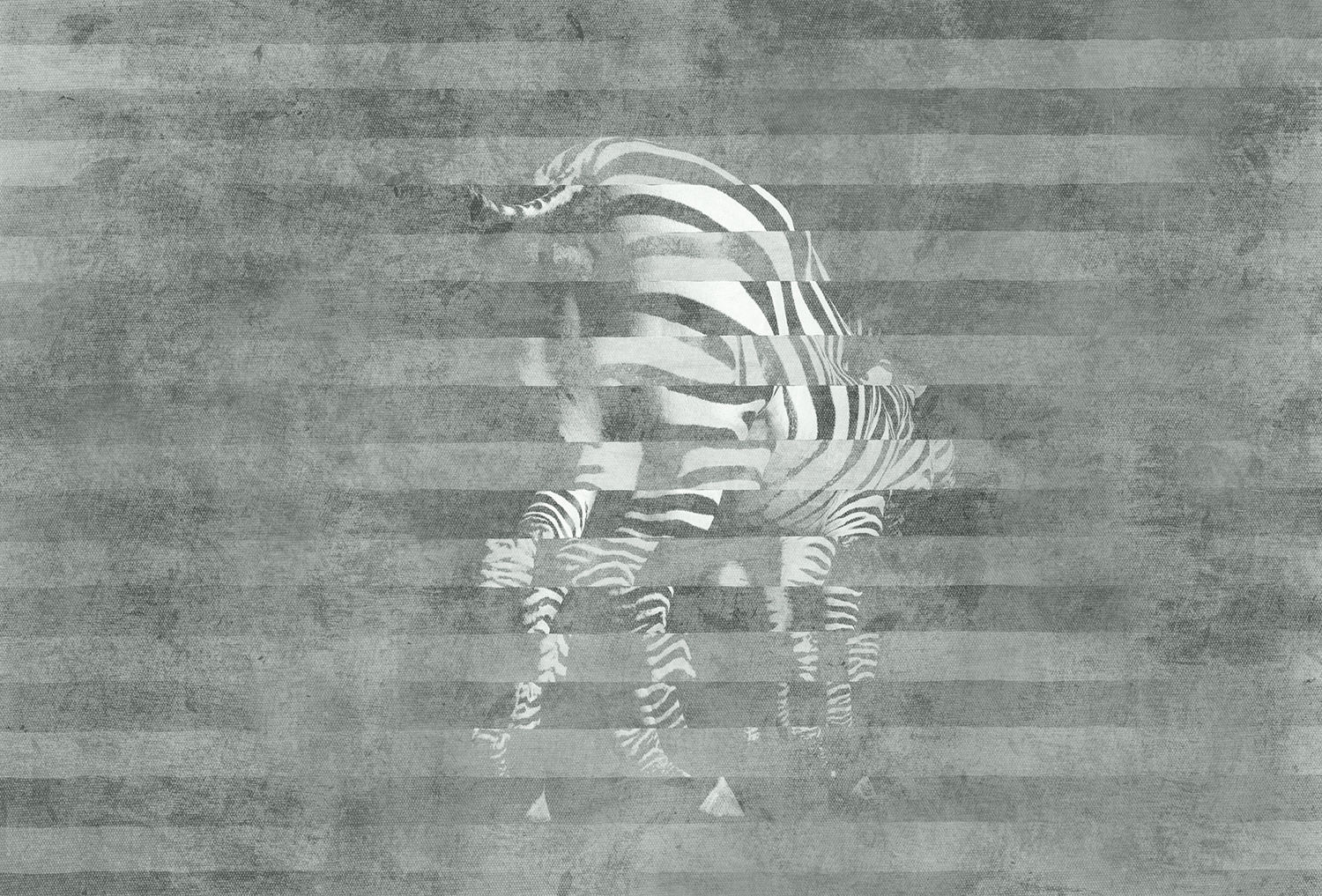 创意家具 - 附件|装饰画/墙饰|办公家具|设计师家具|斑马-原创定制壁画