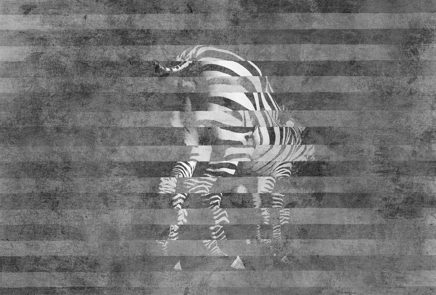 创意家具 - 附件|装饰画/墙饰|办公家具|设计师家具|斑马-原创定制壁画