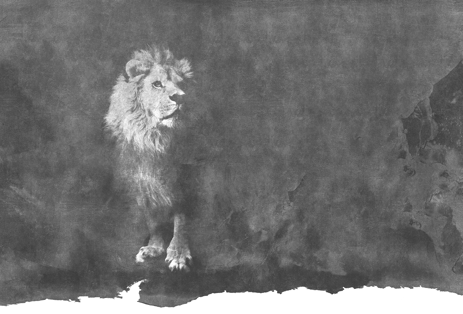 [创意家具 - 附件|装饰画/墙饰|办公家具|设计师家具|狮子-原创定制壁画]