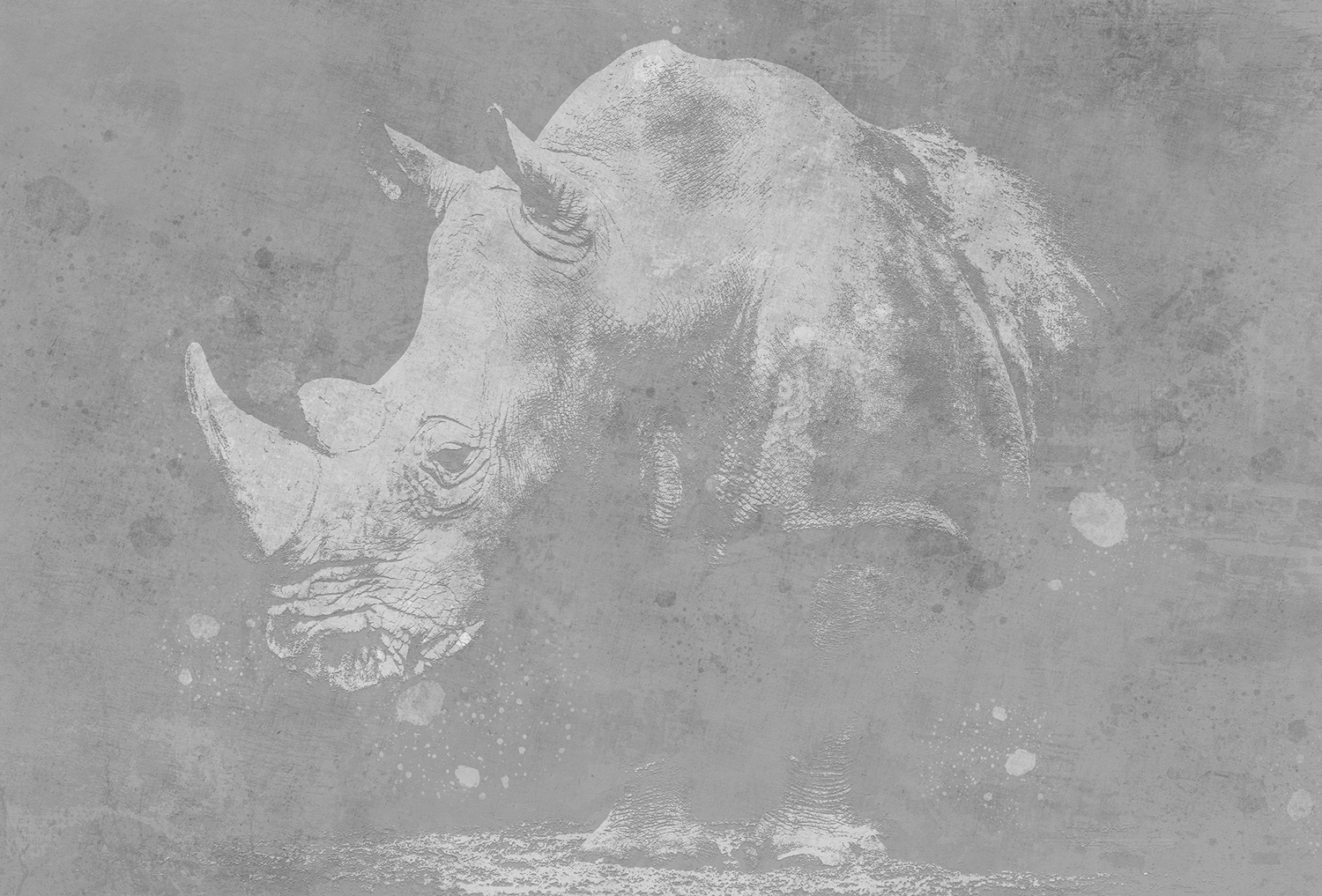 [创意家具 - 附件|装饰画/墙饰|办公家具|设计师家具|犀牛-原创定制壁画]