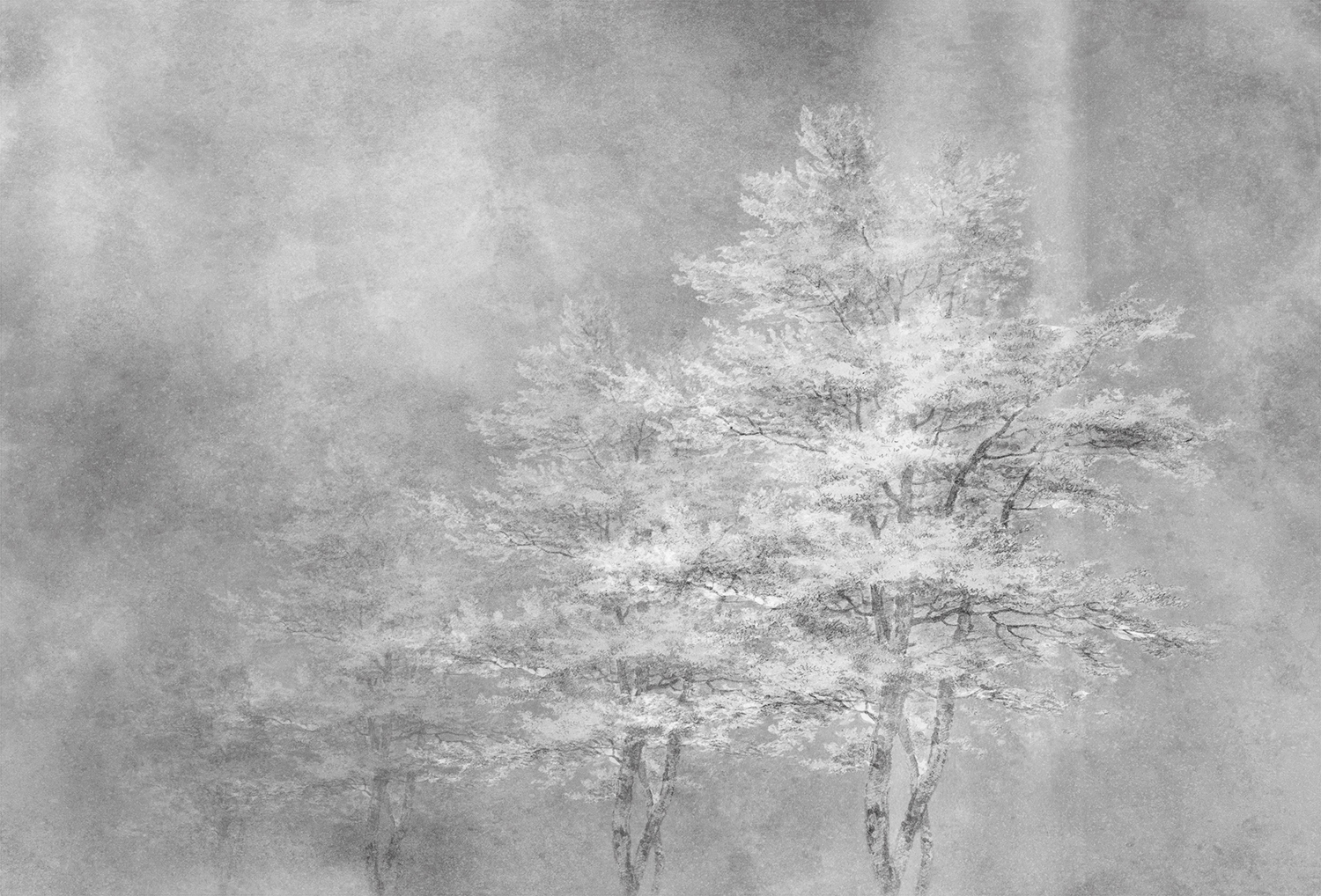 [创意家具 - 附件|装饰画/墙饰|办公家具|设计师家具|雾凇-原创定制壁画]