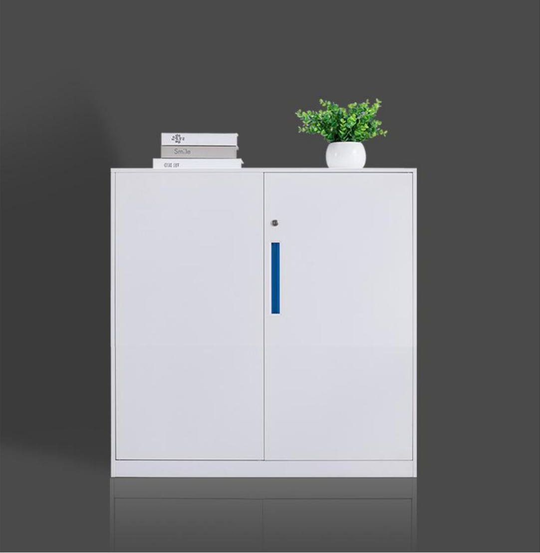 [钢制文件柜|文件柜系列|办公家具|设计师家具|钢制二层开门柜]