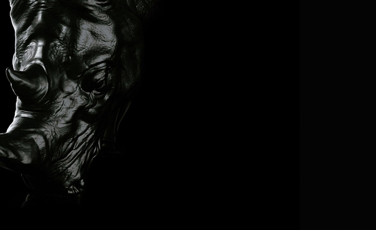 创意家具 - 坐具|休闲椅|办公家具|设计师家具|犀牛椅