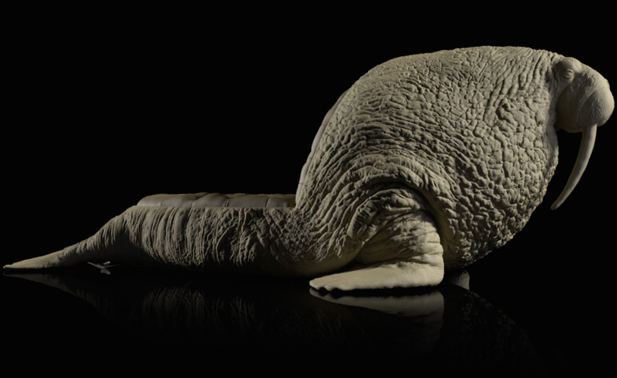 创意家具 - 坐具|休闲椅|办公家具|设计师家具|海象椅