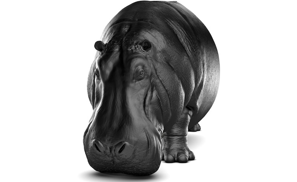 创意家具 - 坐具|休闲椅|办公家具|设计师家具|河马椅